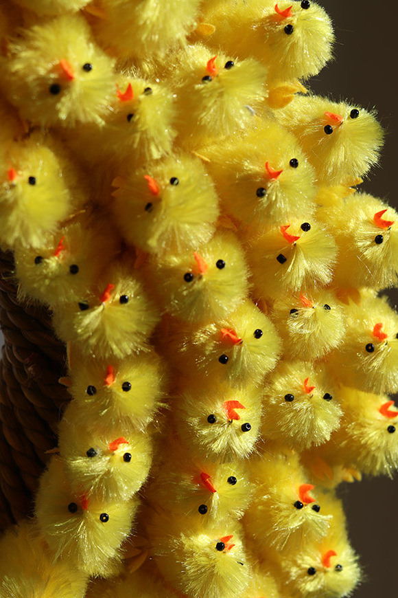 Chiccita, wielkanocny dekoracyjny z kurczaczkami