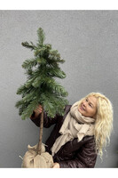 Christmas Pines A, dekoracyjna choinka sztuczna w jucie