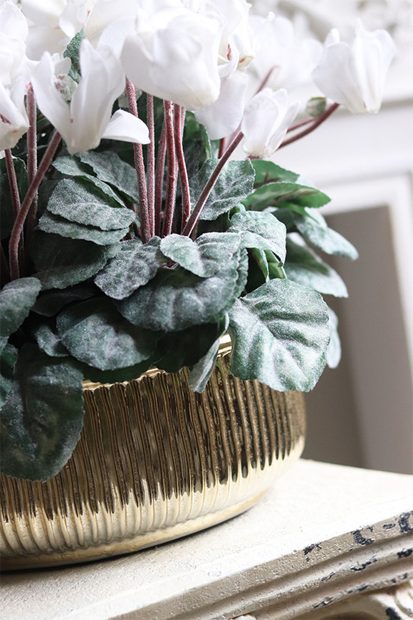 Szronione Cyklameny, elegancka zimowa kompozycja