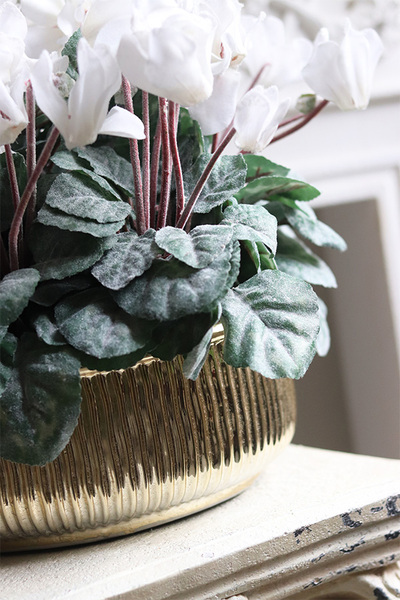 Szronione Cyklameny, elegancka zimowa kompozycja