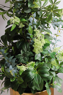 New Green Złota Bajka, drzewko sztuczne kolumnowe w donicy, wys.175cm 