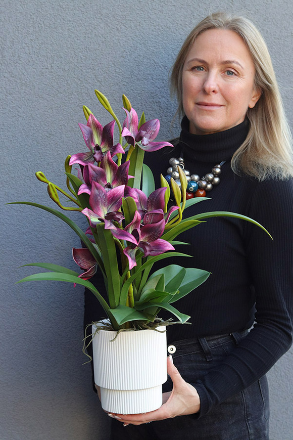 Cherry Diana, gumowy storczyk w donicy