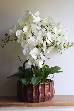 Allenta, sztuczny storczyk w ceramicznej osłonce, wys.65cm 