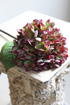 Hydrangea Mood, bukiet zielono-bordowych hortensji, 5szt, dł.46cm  