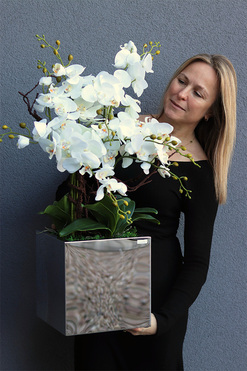 storczyk w stalowej donicy, Mirror Silver Cube, wys.80cm 