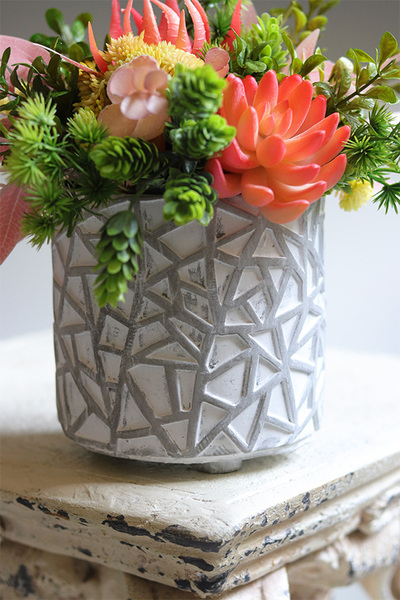 Kledia, sukulenty w nowoczesnej donicy