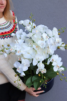 Dark Blue Orient, wysokiej jakości sztuczny storczyk