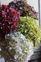 bukiet Hortensja Exclusive, dł.75cm, 4szt 