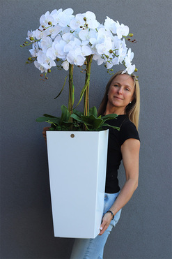 bogaty storczyk podłogowy w białej donicy, Mediolan White, wys.120cm  