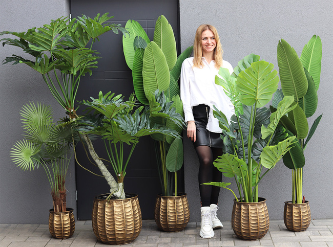 Palma Livistona Bellis, sztuczna roślina w doniczce