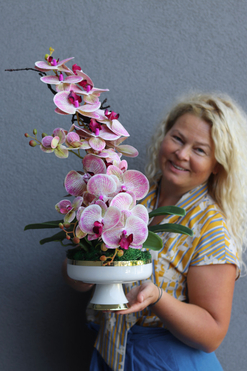 Granada Dortmund, gumowy storczyk w pucharze, wys.60cm  