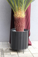 Cykas Grande Black, sztuczna roślina w ozdobnej donicy