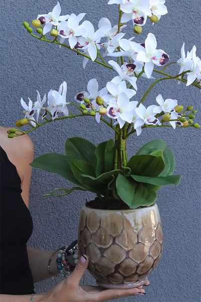 Helakia, sztuczny storczyk w stylowej donicy, wys.56cm