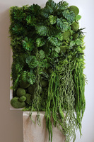 Green Hotel Black, czarna jednostronna rama sukulenty, wym.78x53cm