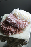 Leossi Cappuccino, dekoracyjny wianek z hortensji