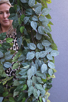 Green Basics, zielona girlanda