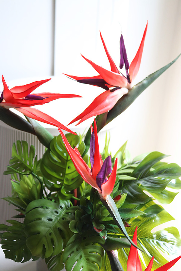 Moderni Figaro Silver, kompozycja ze strelicją w lustrzanej donicy