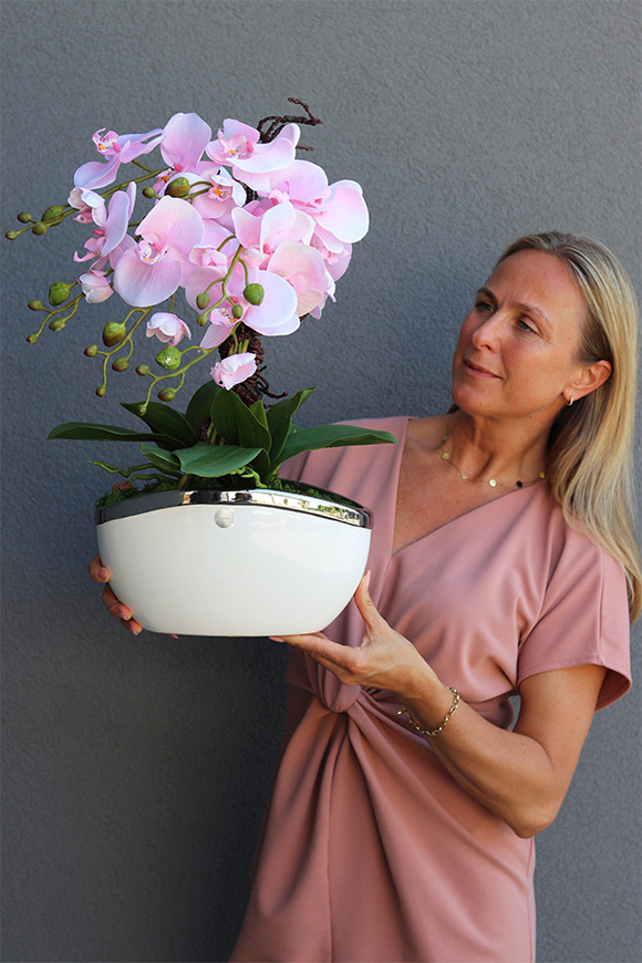 Pink Gelia 2, gumowy storczyk w donicy