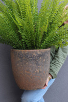 Fern Pompei, sztuczna paproć w donicy ceramicznej