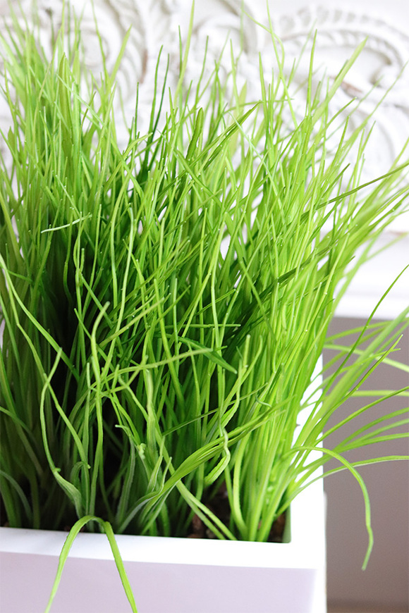 Fiberglass White, sztuczne trawy w eleganckiej donicy	