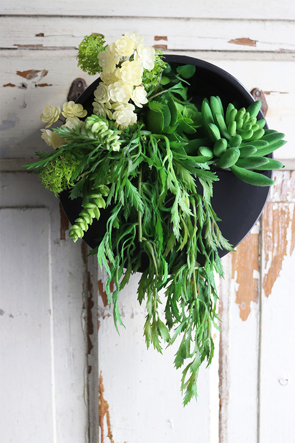 Designerio C, kompozycja sukulenty w czarnej donicy wiszącej, wym.13x23cm