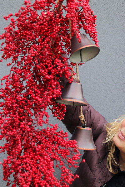 Czerwona Zima, girlanda z owoców, dł.110cm