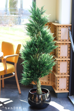 Cyprys Ares Black, sztuczna roślina w doniczce, wys.145cm