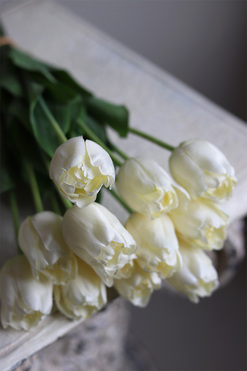 White Spring, bukiet tulipanów satynowych, 12szt, dł.50cm