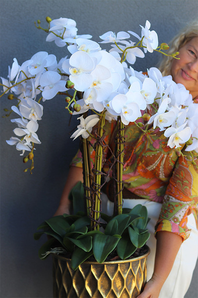 Goldina Terra, storczyk w donicy na trójnogu