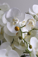 Fiberglass White Bowl, sztuczny storczyk w białej donicy