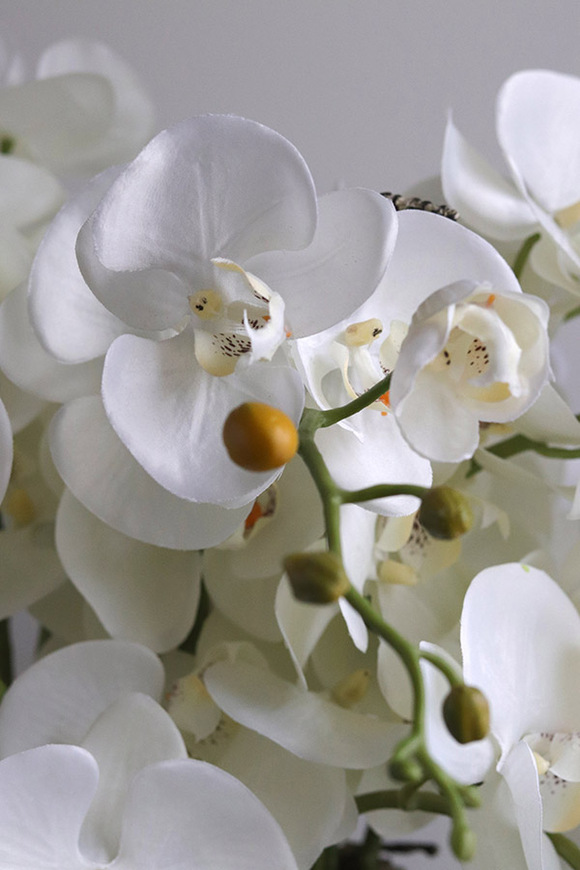 Fiberglass White Bowl, sztuczny storczyk w białej donicy