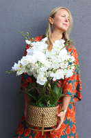 Goldenario Medium 2, biały storczyk w złotej donicy