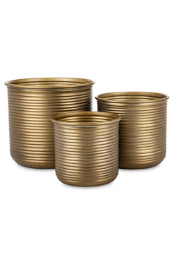 Dakar D, złota metalowa osłonka, kpl.3szt