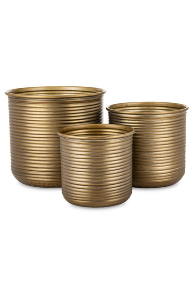 Dakar Wide, złota metalowa osłonka