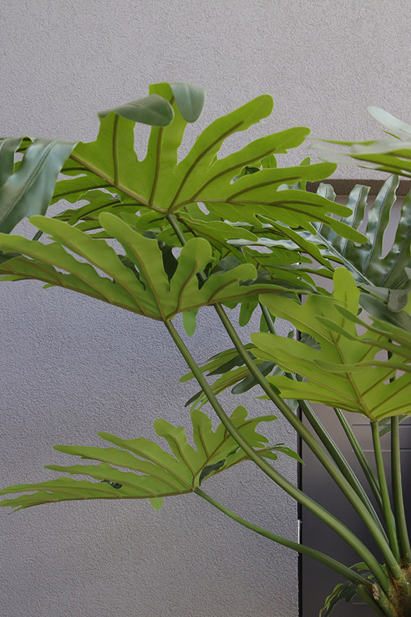 Filodendron Premium, drzewko sztuczne w donicy