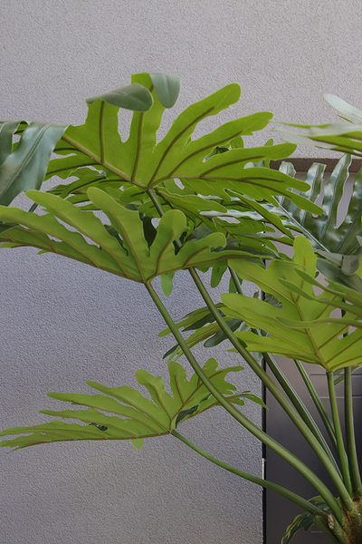 Filodendron Premium, drzewko sztuczne w donicy