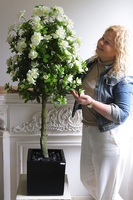 Azalia Fiberglass, sztuczna roślina w czarnej donicy