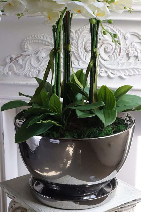 Helissa Lucky, gumowy storczyk w lustrzanej donicy z podstawką