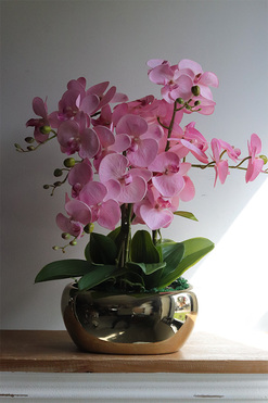 Pink&Gold 2, storczyk w złotej donicy glamour, wys.61cm