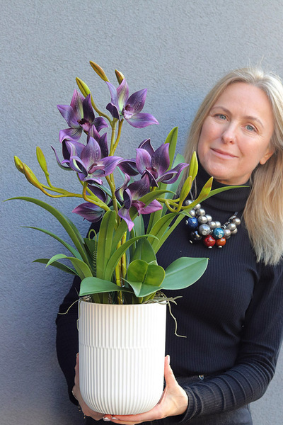 Jenny Purple, gumowy storczyk w donicy