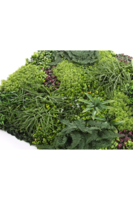 atrakcyjny panel ścienny, Green Premium D, wym.100x100cm