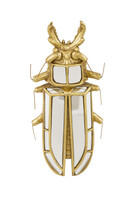 Beetle B, dekoracja ścienna chrząszcz