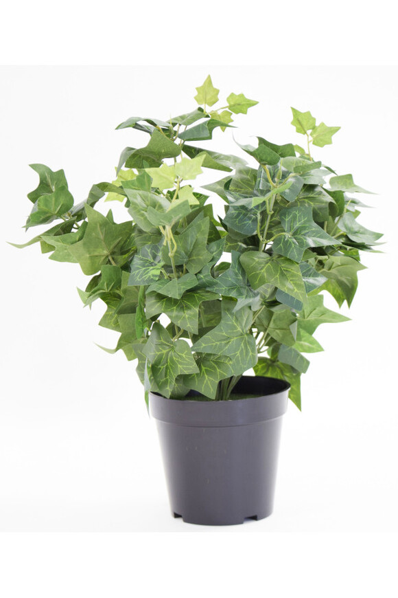 Bluszcz, sztuczna roślina w osłonce / donicy, wym.39x31x31cm