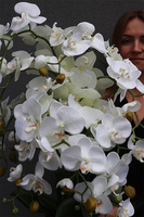 White House Mediolan, sztuczny storczyk w donicy