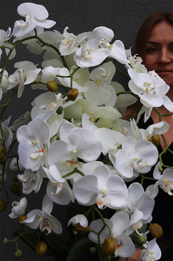 White House Mediolan, sztuczny storczyk w donicy, wys.80cm