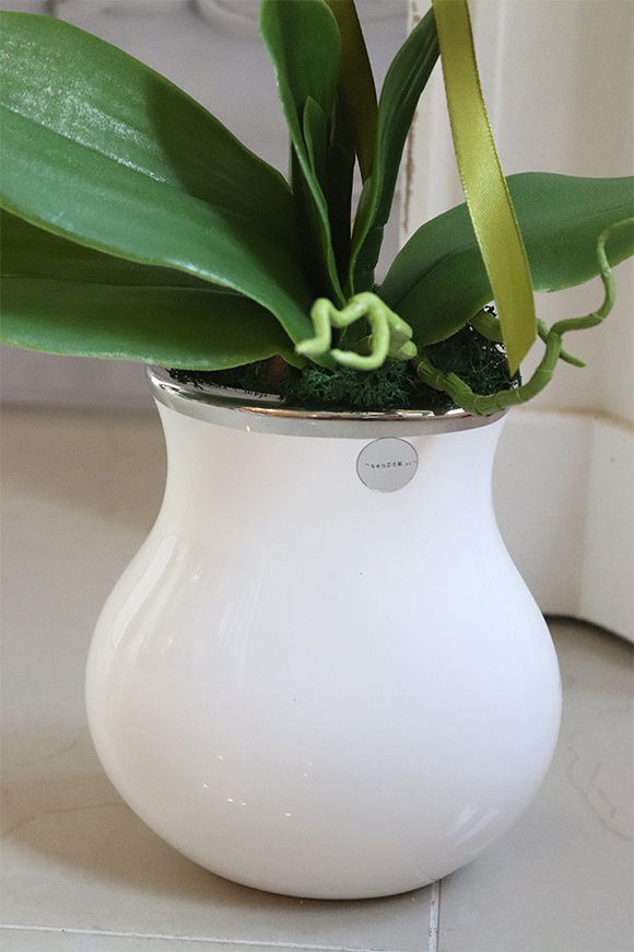 Villano Akima, storczyk w białym wazonie, wys.60cm