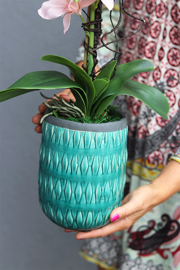 Turkussana, różowy storczyk w turkusowej donicy