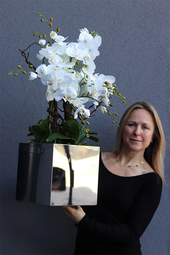 storczyk w stalowej donicy, Mirror Silver Cube