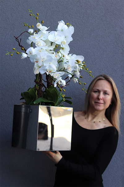 storczyk w stalowej donicy, Mirror Silver Cube