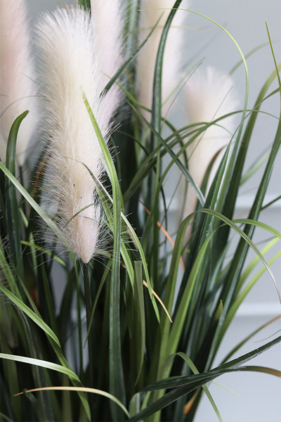 Heristo, kompozycja z traw pampasowych w białej donicy, wys.135cm